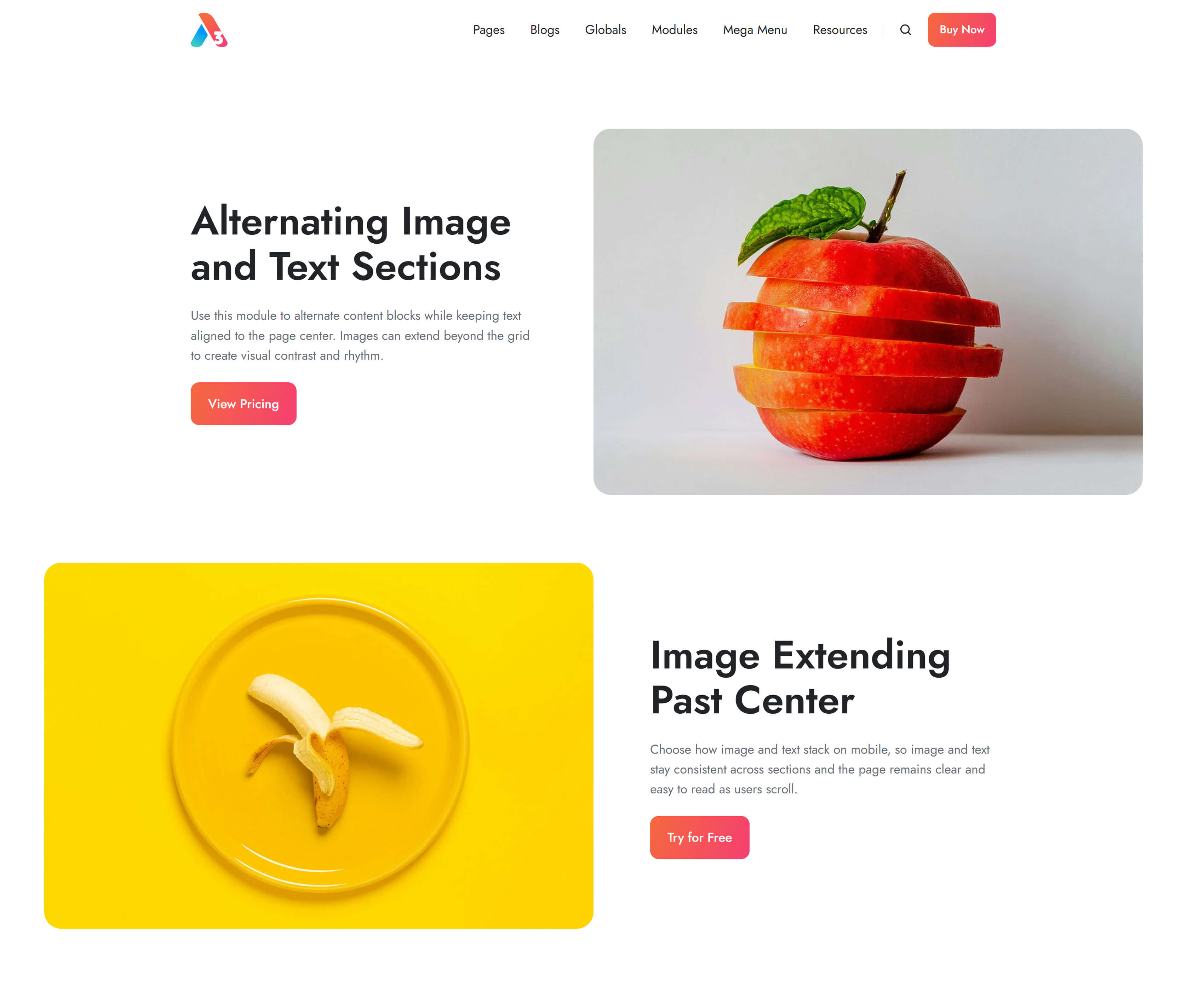 Act3 Image Plus Text Module Preview